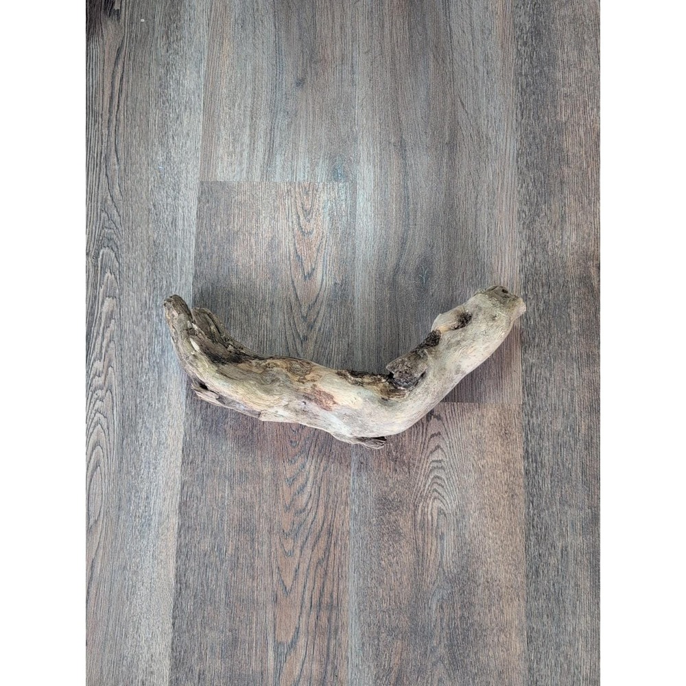 Driftwood So Cal CA Beach Ocean Wood Sculpture Root Art Landscape Garden Decor